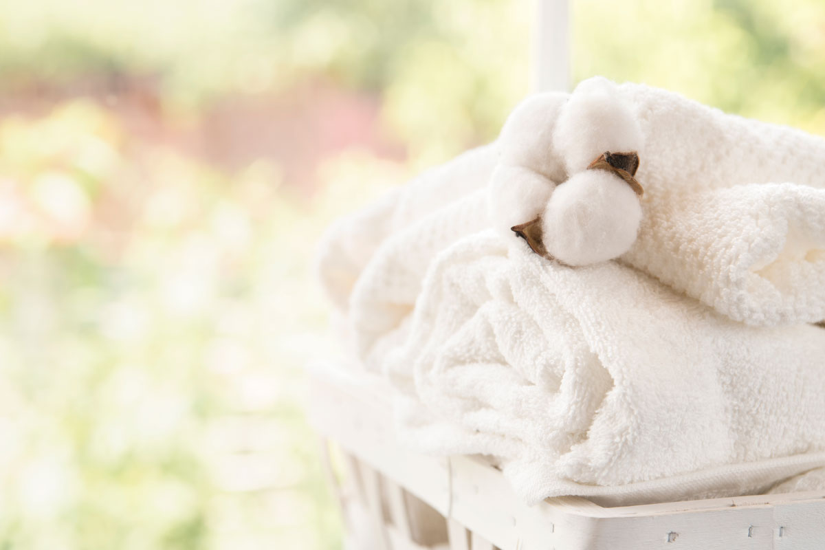 加盟のごあんない